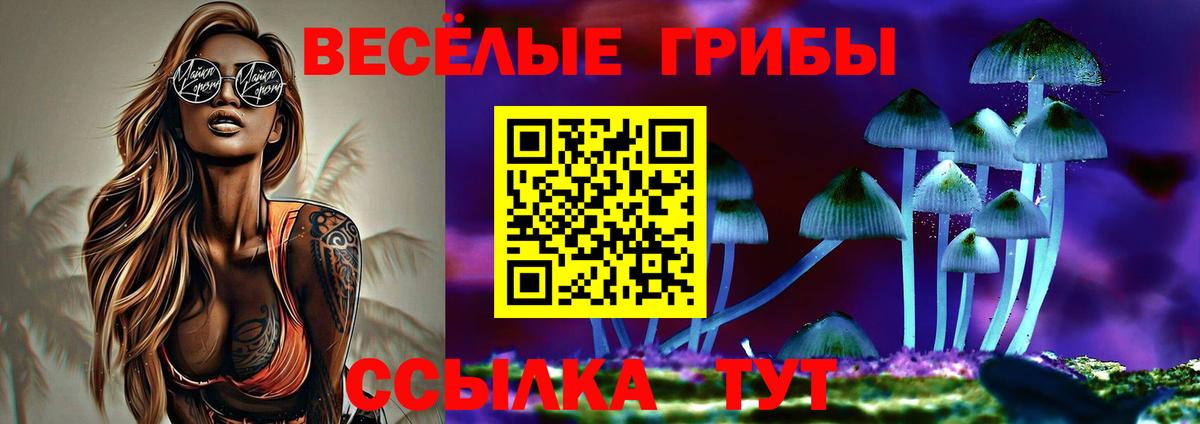 Галлюциногенные грибы GOLDEN TEACHER  Вход с VPN  Баксан 